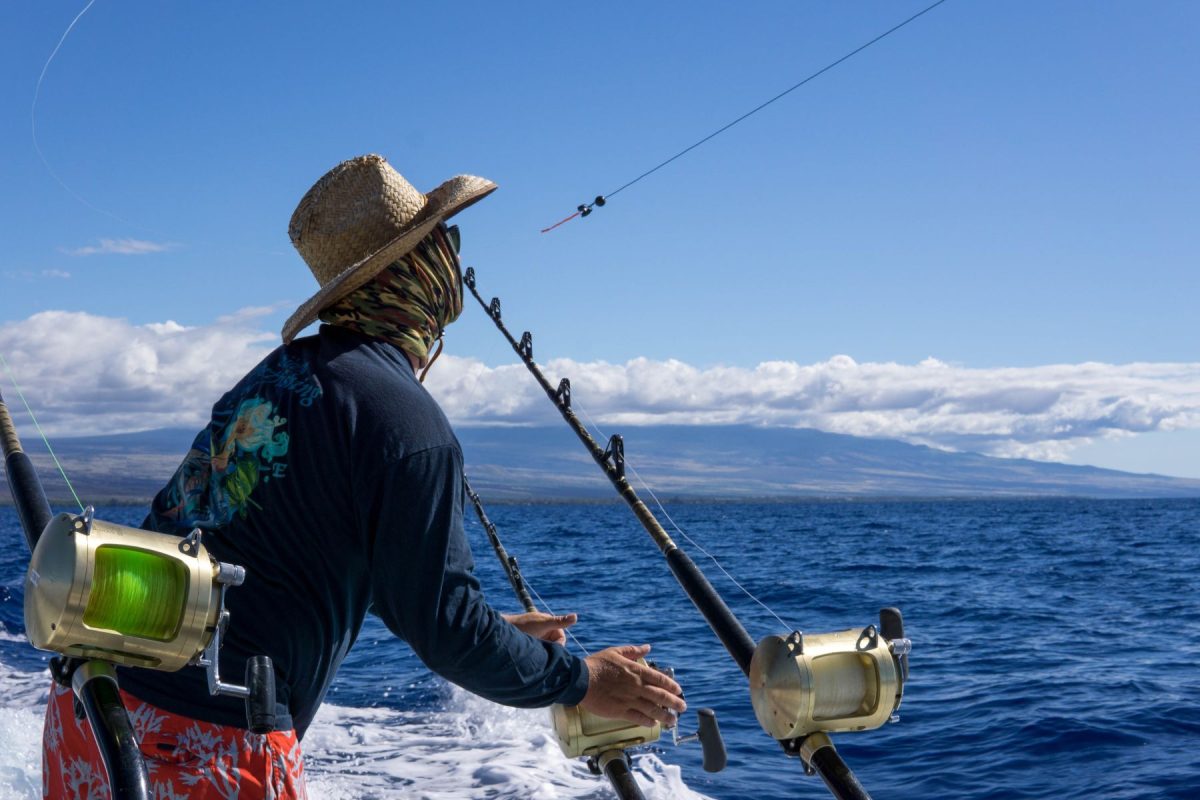 fishing charter in rehoboth beach